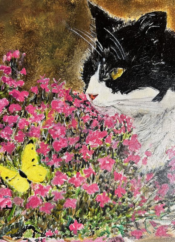 Butterfly and cat