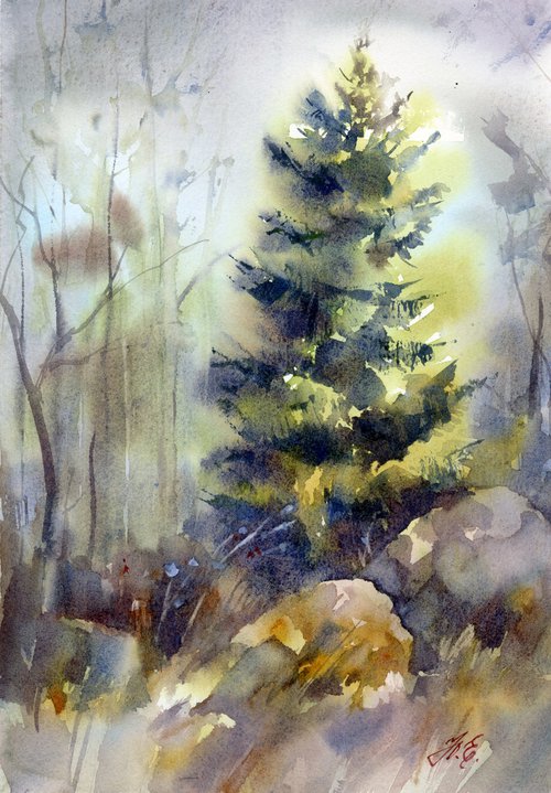 Lush spruce, Evergreen tree, Forest in watercolor by Yulia Evsyukova