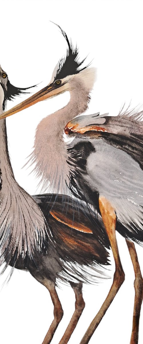 Stroks Heron Wader Ardea Hern by Yuliia Sharapova