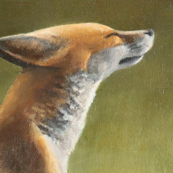 Fox sat in the Sun, Foxes Painting, Animal Artwork Framed and Ready to Hang