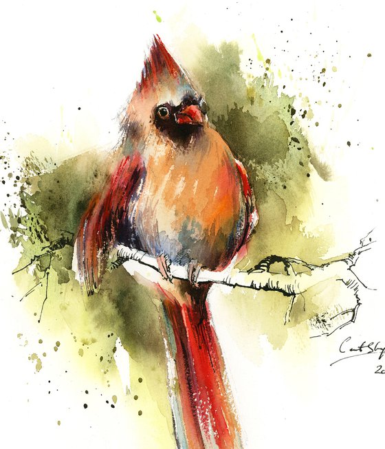 Northern Cardinal Female Bird Watercolor Painting