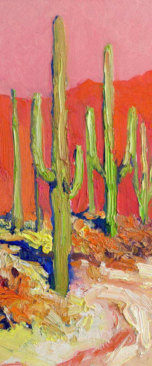 Warm Reflections. Saguaros in the Desert by Suren Nersisyan