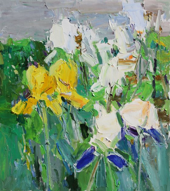 " Irises "