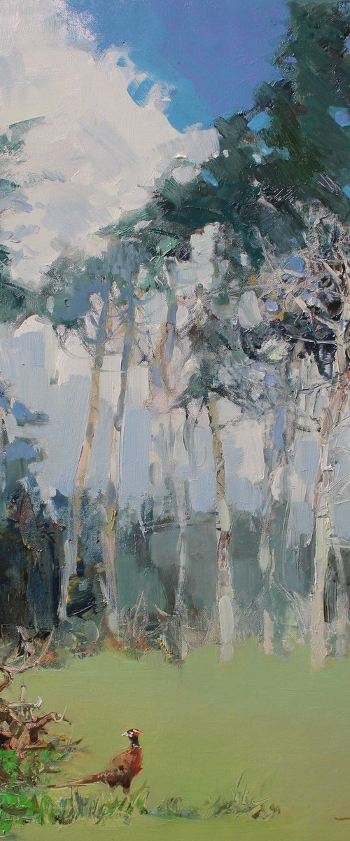 Forest Edge by Hovart