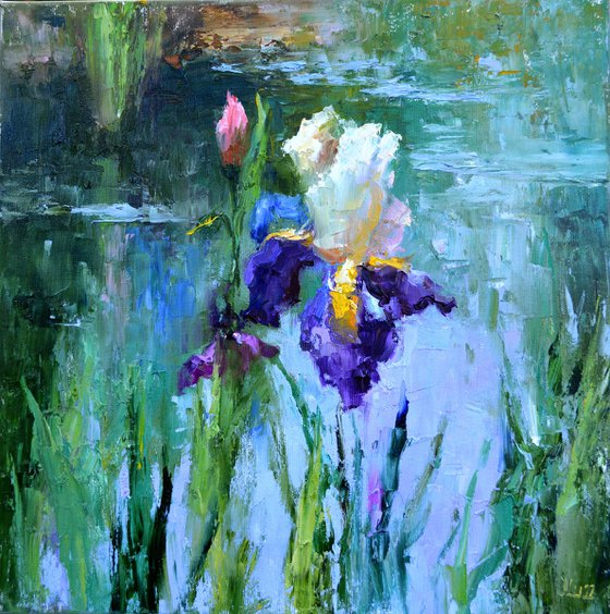 Iris by the pond