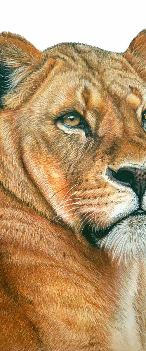 Serenity by Silvia Frei