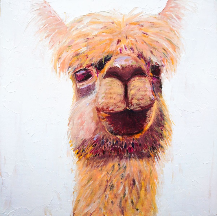 Llama Barry 2018 Oil Painting By Van Lanigh Artfinder
