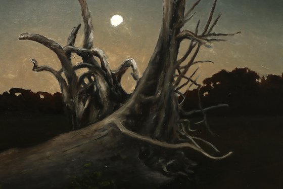 Roots