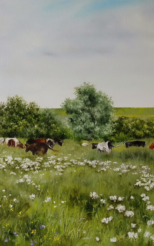 Cows in a Meadows, Pastoral Landscape by Natalia Shaykina