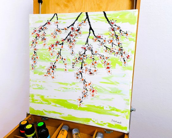 Cherries in the spring 2