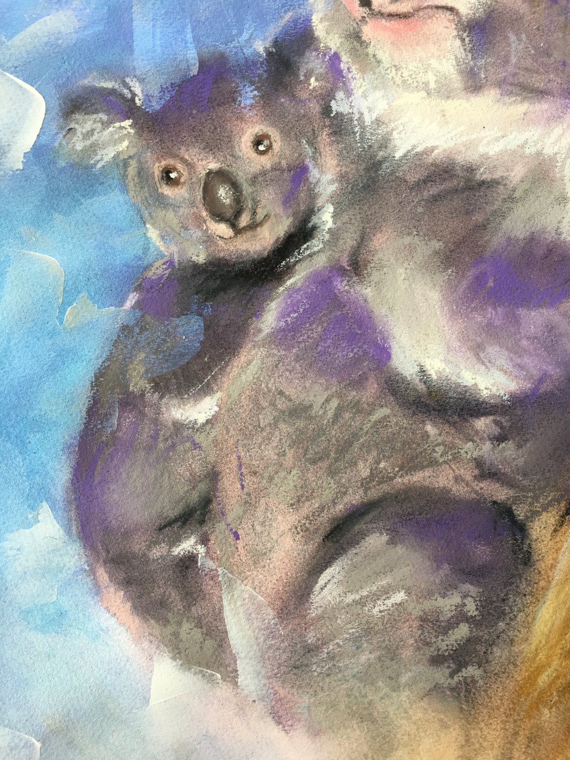 Koala Kid  watercolor drawing by Stephan Alsac - French Wildlife Artist