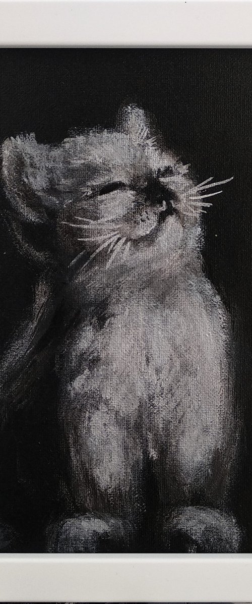 Little cat Black and Silver Monochrome art Framed and Ready to hang by Anastasia Art Line