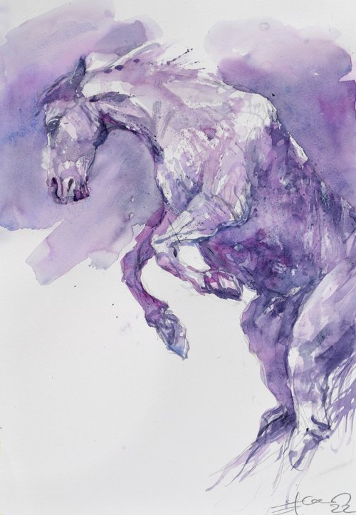 Prancing horse in purple by Goran Žigolić Watercolors