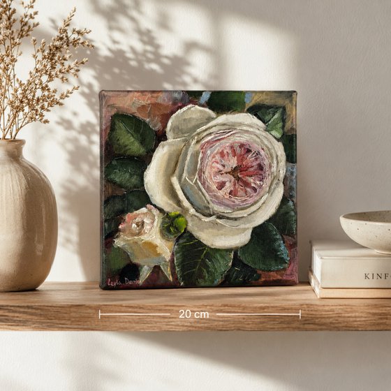 Pink roses still life