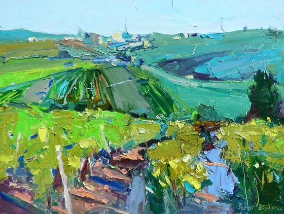 "  Vineyards "