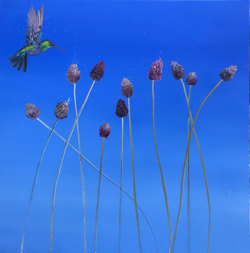 Allium by Laure Bury