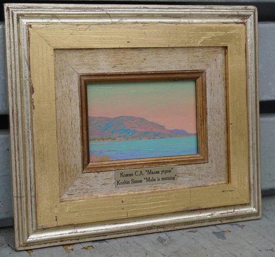 Malia in the morning