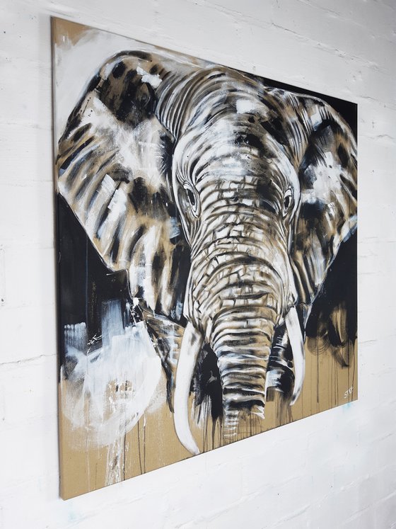 ELEPHANT #14 - Series 'One of the big five'