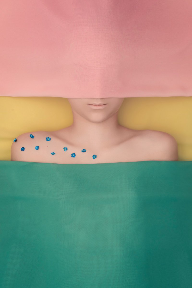 Abstract Portrait Photograph By Anastasia As, 26 X 37, Color As Shelter, Original Artwork