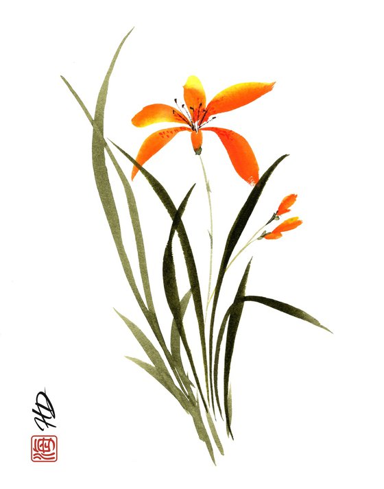 Golden Daylily