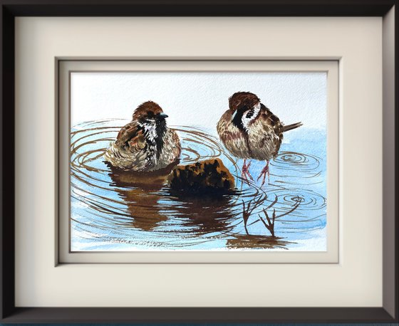 A Pair of Wild sparrows Birds