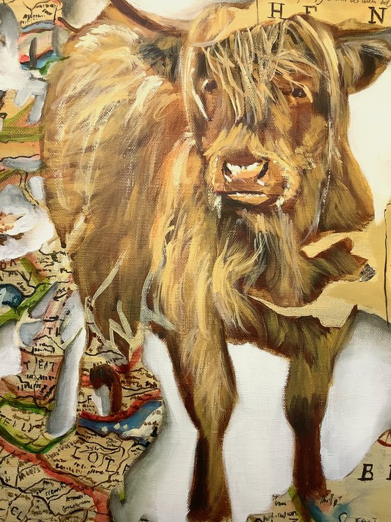 Highland cow, Spirit of Scotland painting