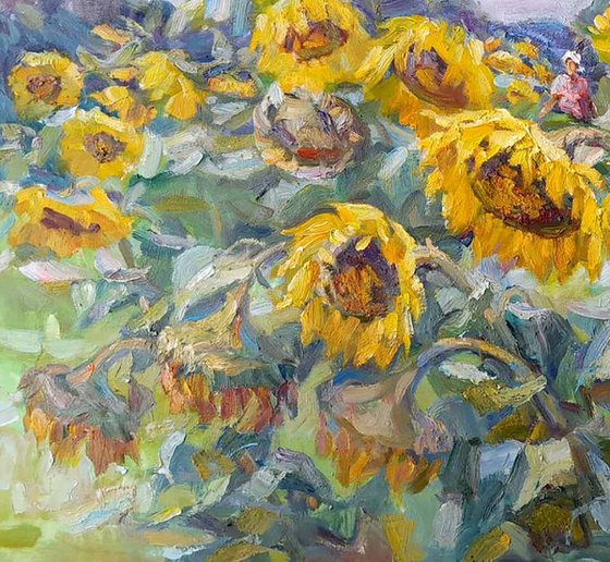 Among the sunflowers