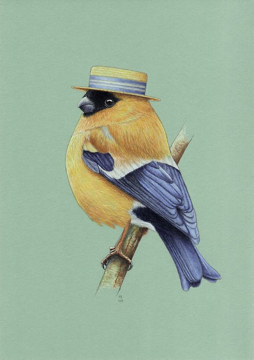 Orange bullfinch by Mikhail Vedernikov