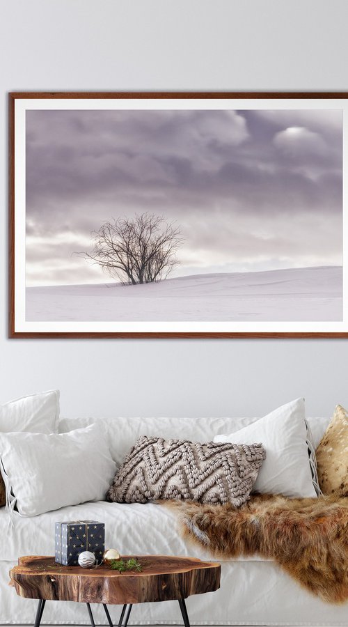A bush in the snow by Karim Carella