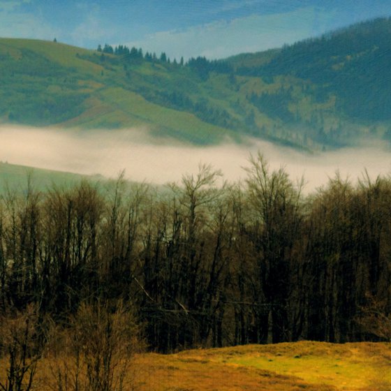 When the morning fog falls.