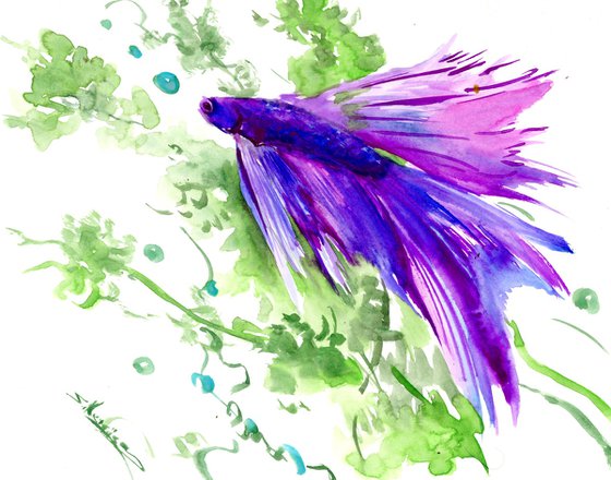 Betta Fish