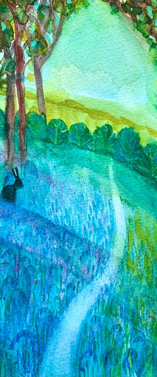 Bluebell Woodland by Janice MacDougall