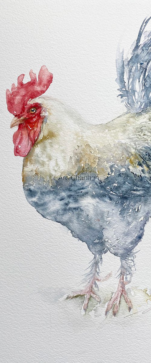 White Rooster Remo by Arti Chauhan