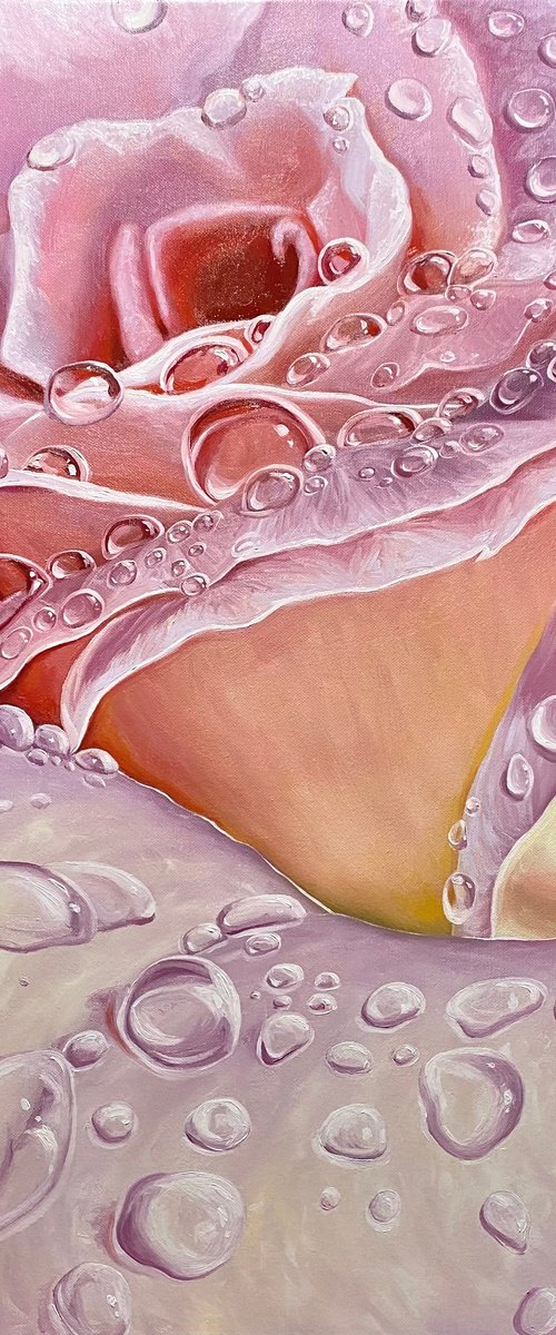 Elegance .Rose by Elena Adele Dmitrenko