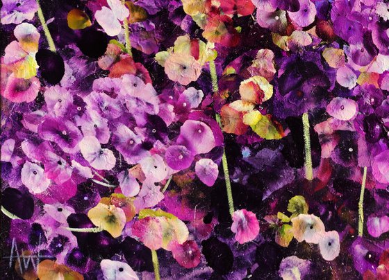 Violet Rhapsody