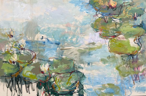 Lily-pond. Reflections.