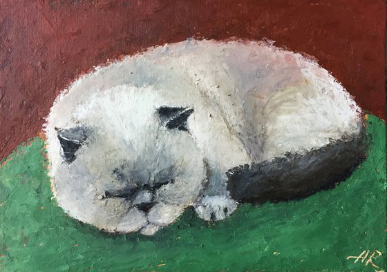 Caught Napping. Cats,Animals,Portrait, Oil,Pastel.