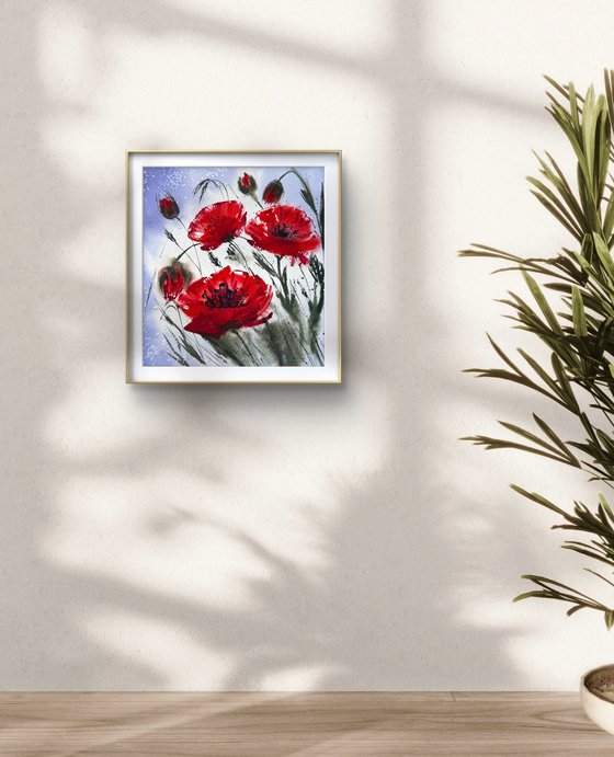 Red Wild Poppies