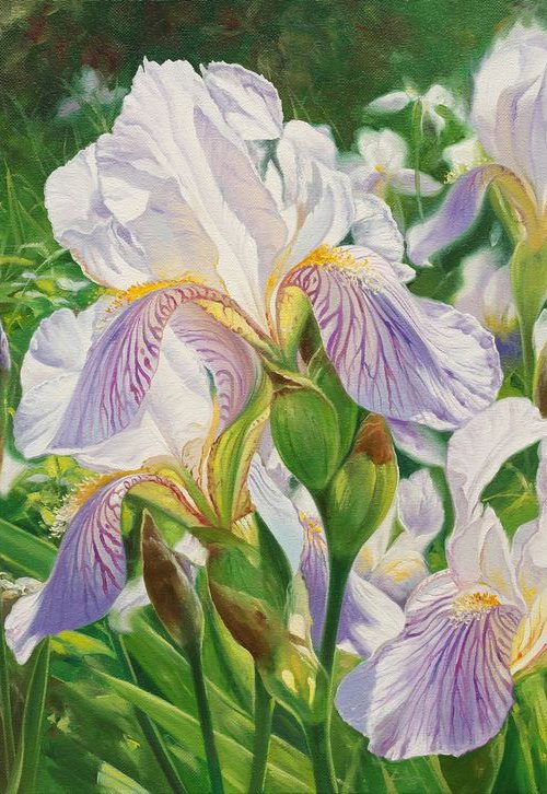 Irises by Eduard Zhaldak