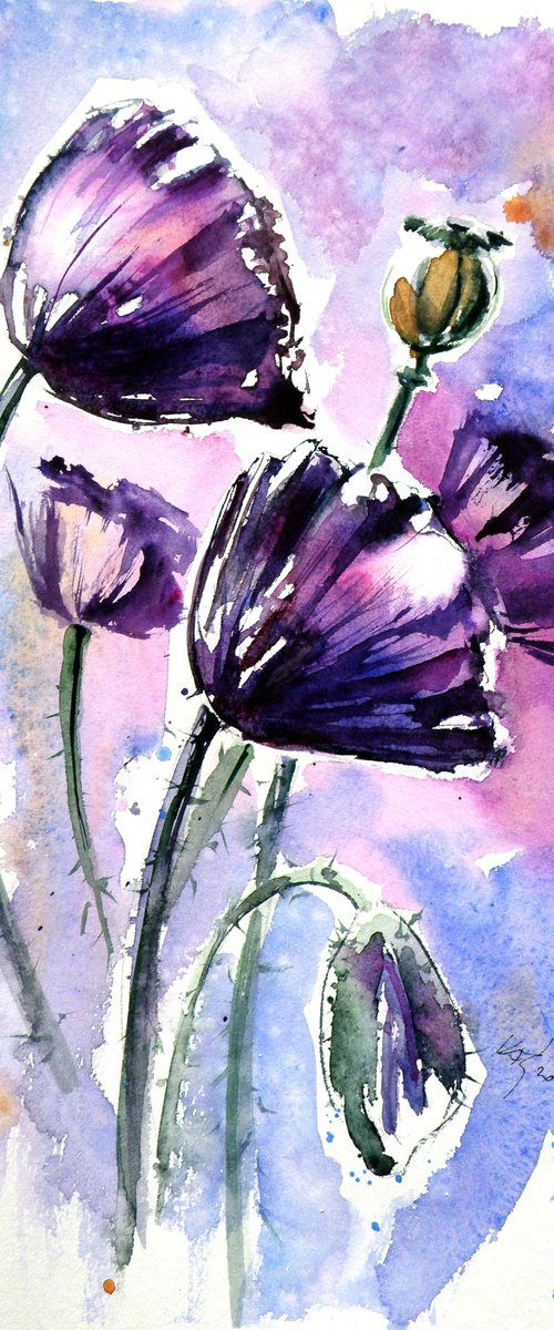 Purple poppies by Kovács Anna Brigitta