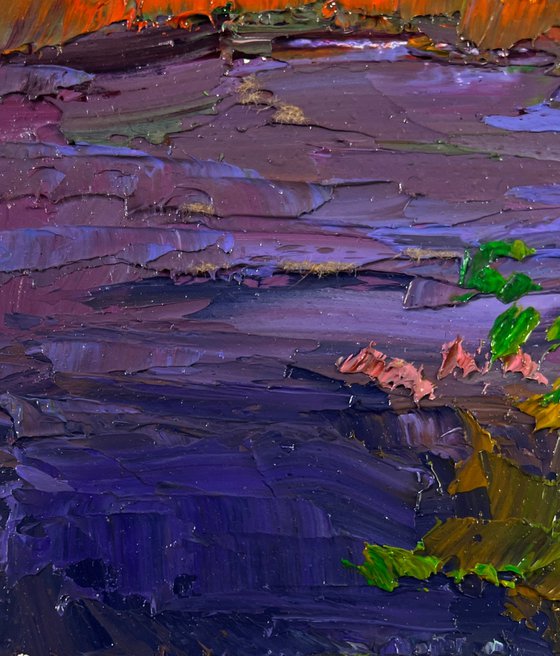 Autumn Colors in Warm Evening Light