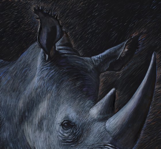 rhinoceros