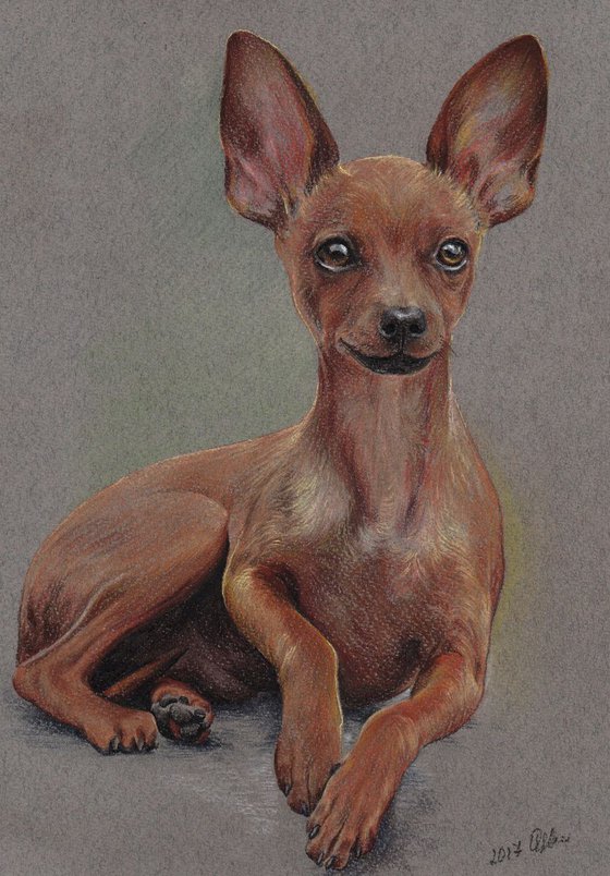 Pastel portrait of russian toy terrier. 21x30 cm