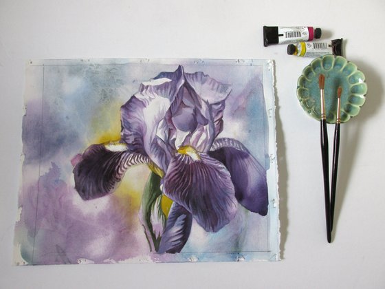 blue iris watercolor floral