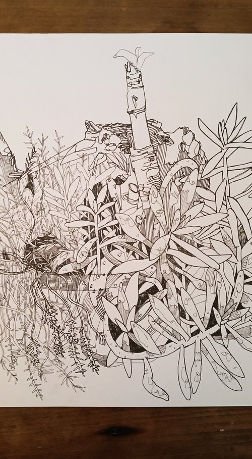 draw 3.0 by Isabellangela Germinario