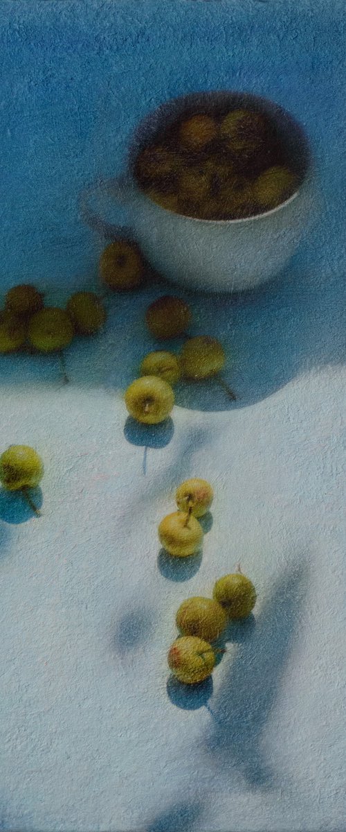 Sun-Kissed Apples in the Garden by Andrejs Ko