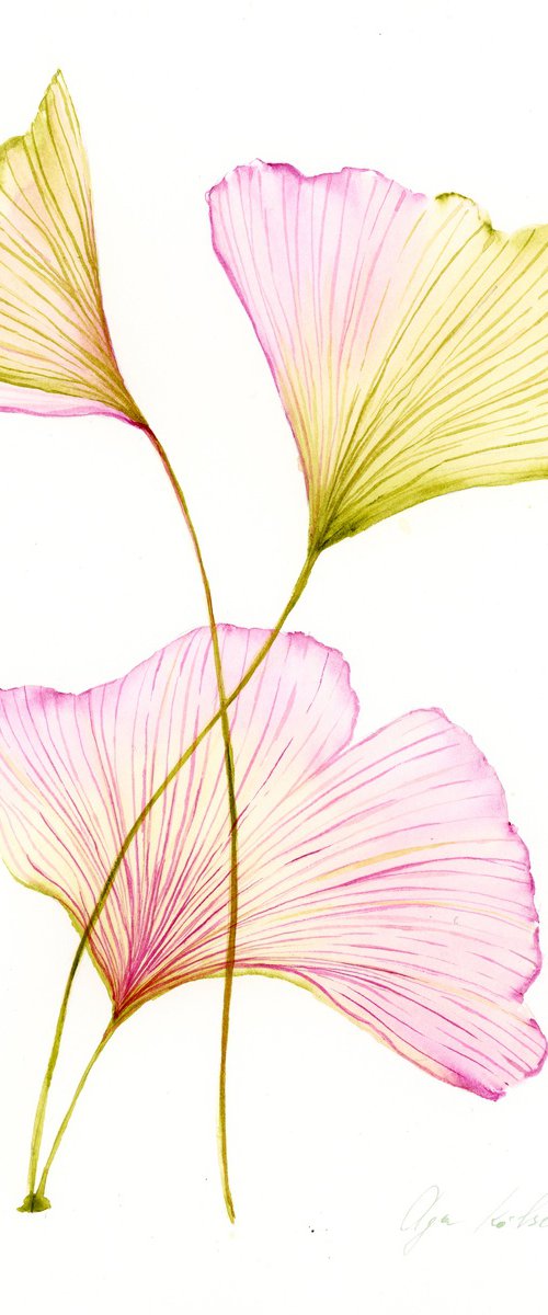 Ginkgo Biloba in Pink by Olga Koelsch