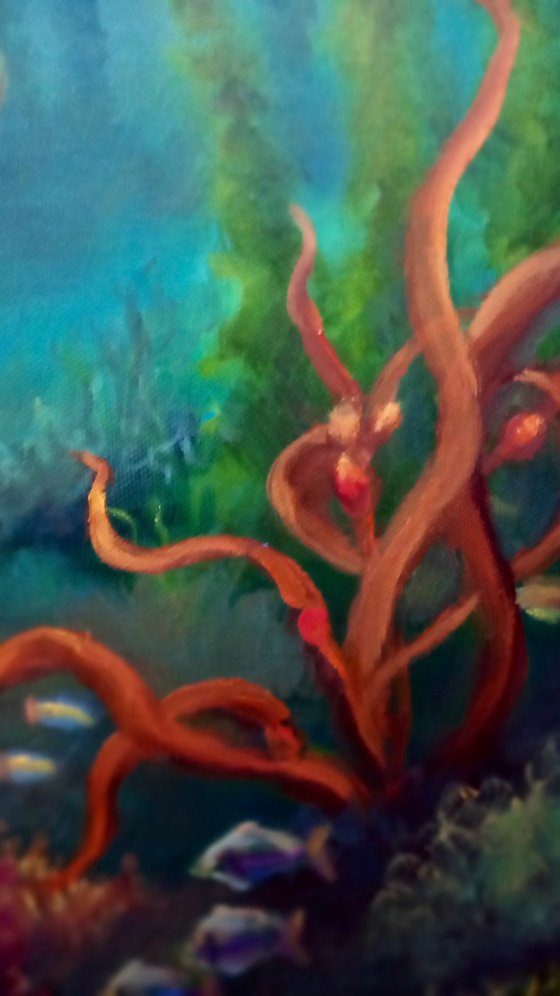 Pacific Reef