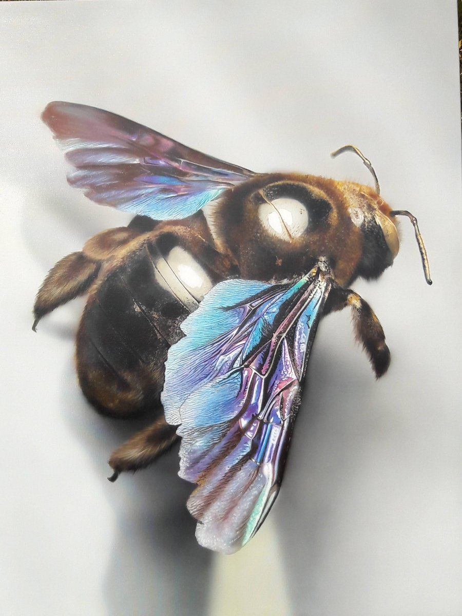 Bee Painting On Canvas Original Art Bee Bee Art Hyperrealism Art   00d6af5bf29c4067a5bf52bac277c87a Opt 