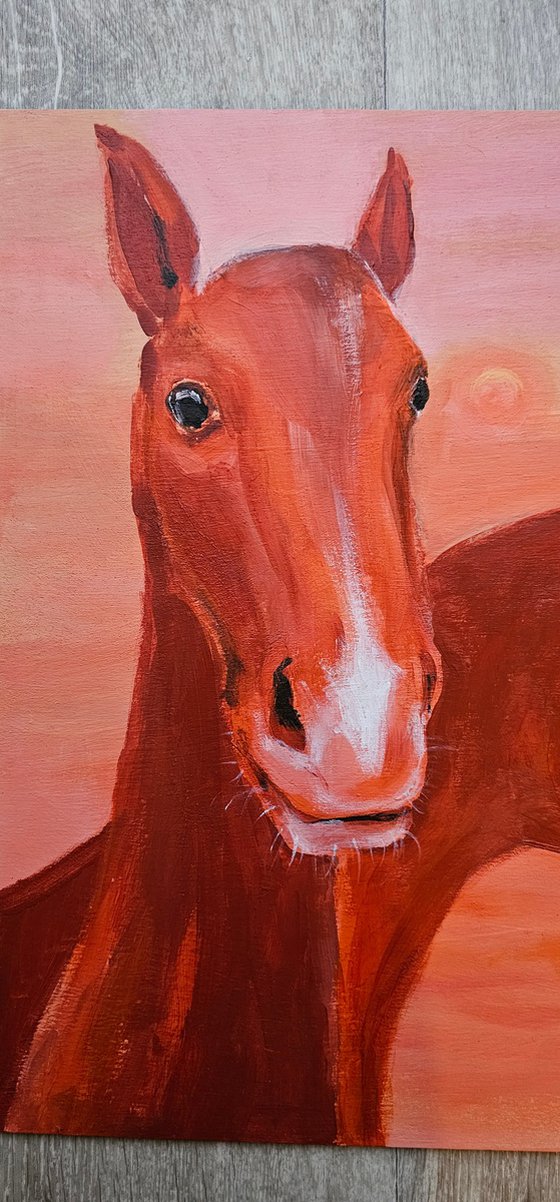 Chestnut horses at soft pink orange sunset